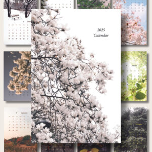 2025 Calendar : 4 Season's Moment 계절의 순간