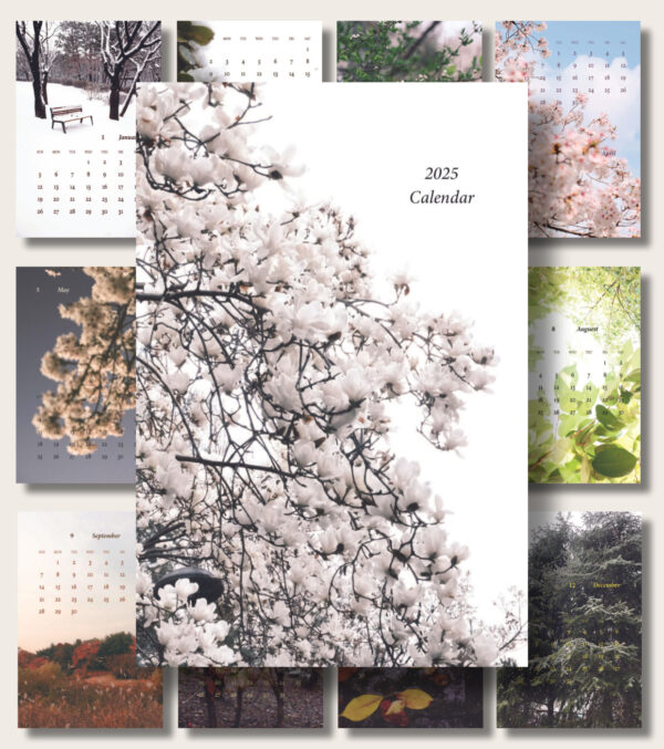 2025 Calendar : 4 Season's Moment 계절의 순간